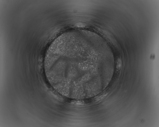 X0000091950559200710041010
