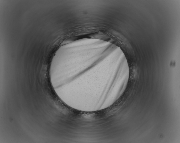 X0000091950560200710041010