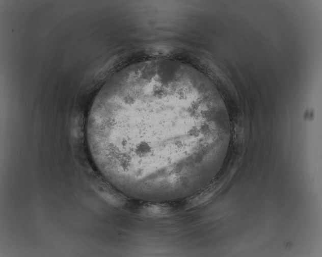 X0000091950561200710041010
