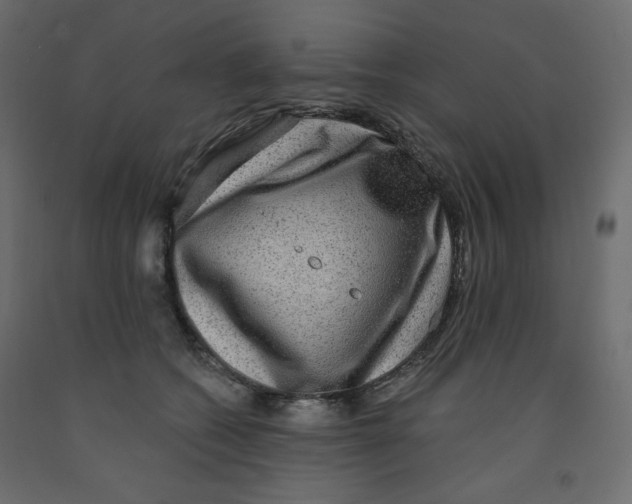 X0000091950562200710041010
