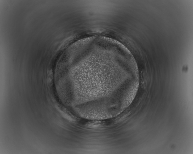 X0000091950563200710041010