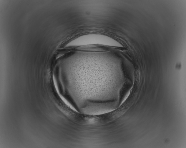 X0000091950564200710041010
