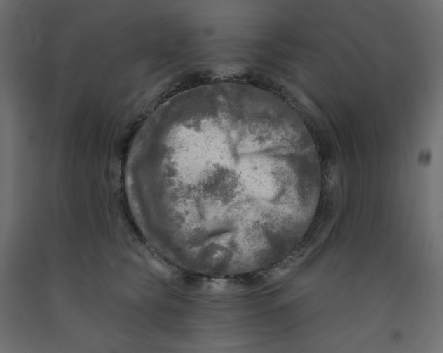 X0000091950565200710041010