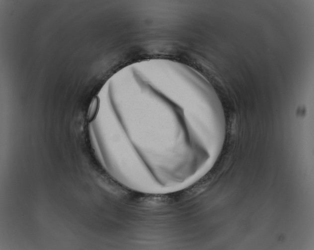 X0000091950567200710041010