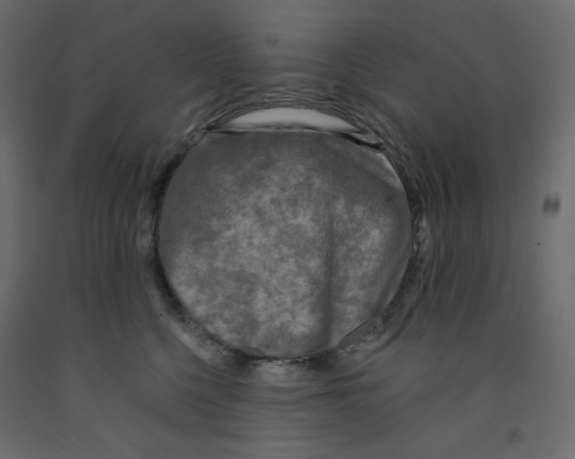 X0000091950568200710041010