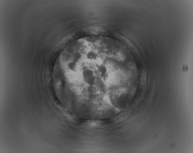 X0000091950569200710041010