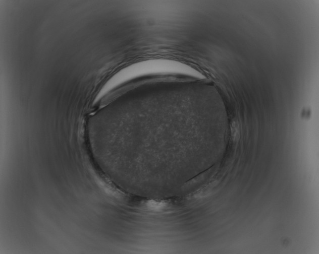 X0000091950570200710041010