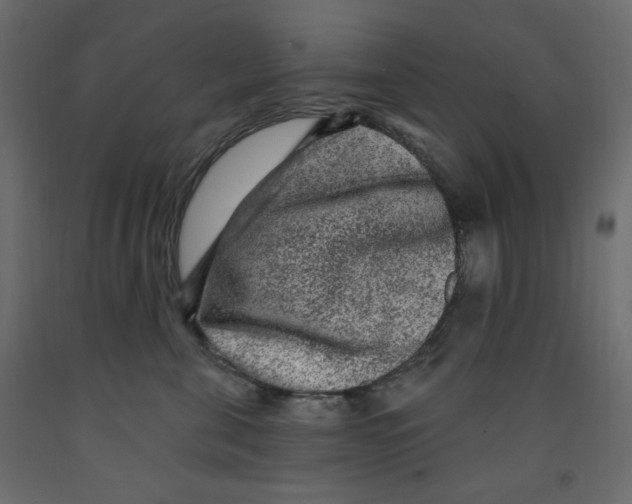 X0000091950571200710041010
