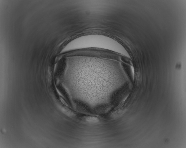 X0000091950572200710041010