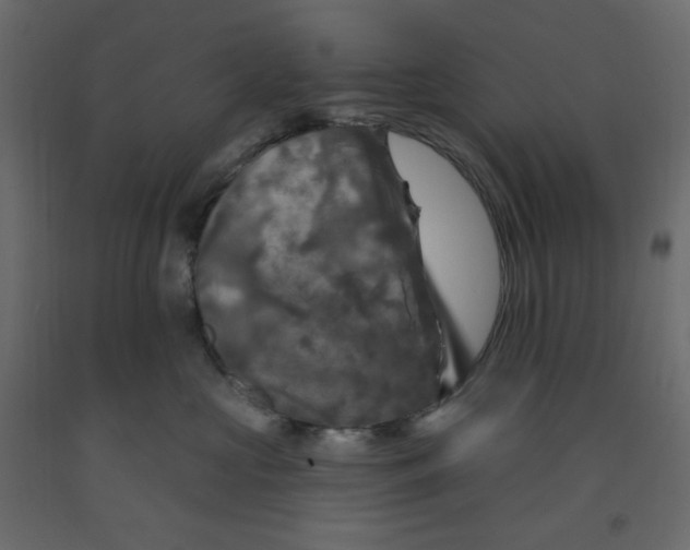 X0000091950573200710041010