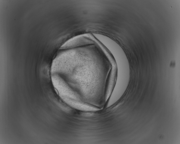 X0000091950575200710041010