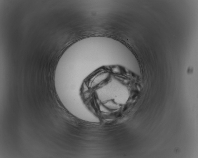 X0000091950576200710041010