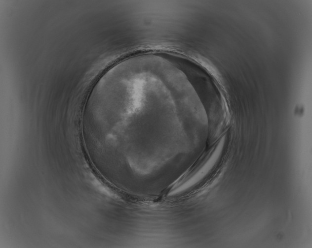 X0000091950577200710041009