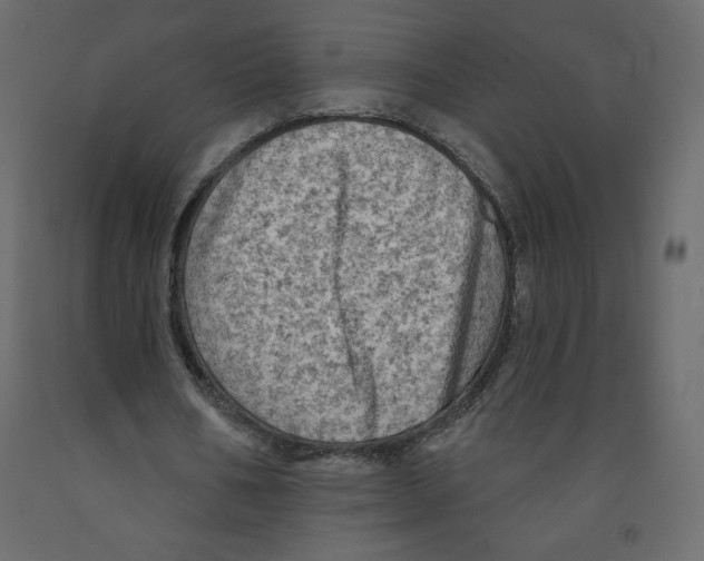 X0000091950578200710041009