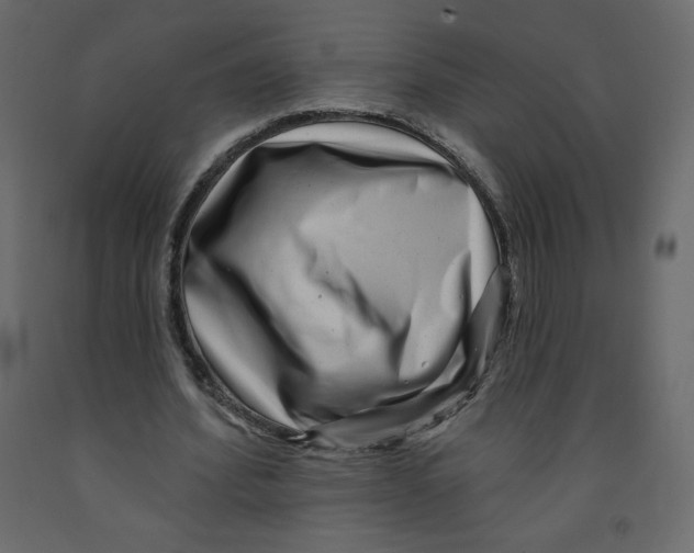 X0000091950580200710041009
