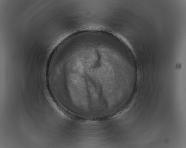 X0000091950581200710041009