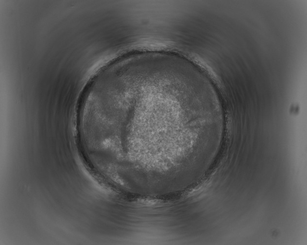 X0000091950582200710041009