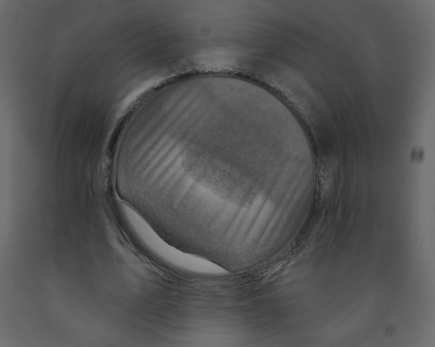 X0000091950583200710041009