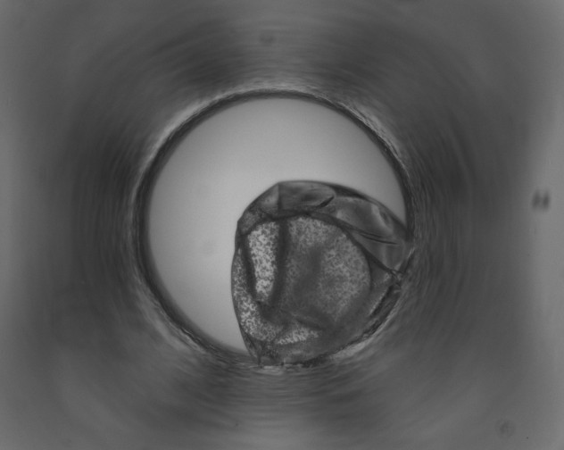 X0000091950584200710041009