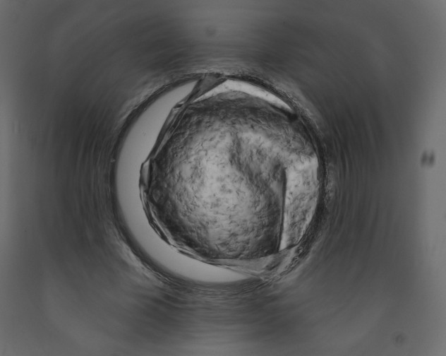 X0000091950585200710041009
