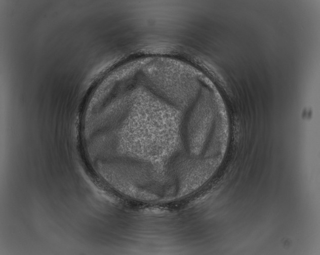 X0000091950586200710041009