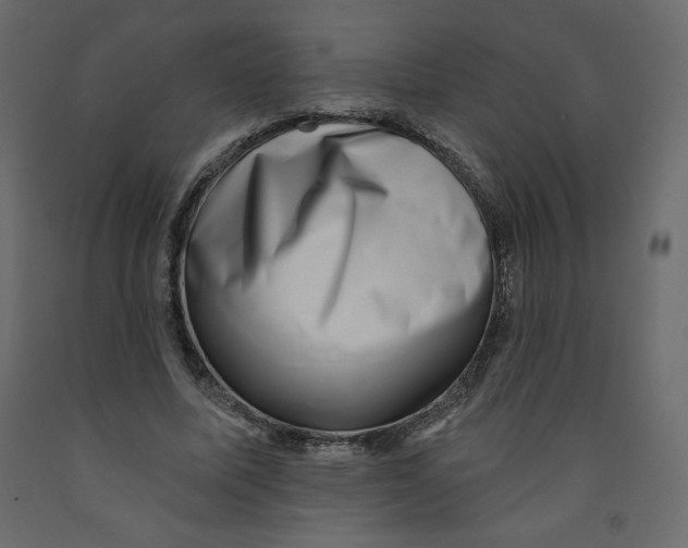 X0000091950587200710041009