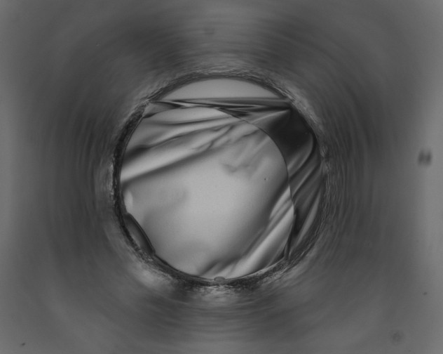 X0000091950589200710041009