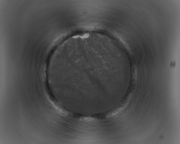 X0000091950590200710041009