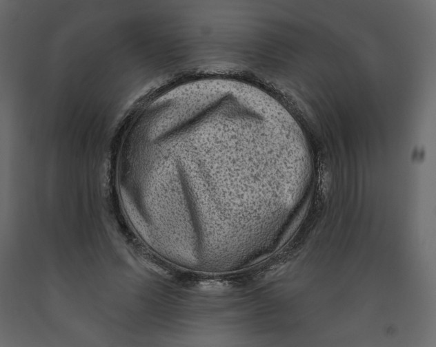 X0000091950591200710041009