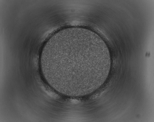 X0000091950592200710041009