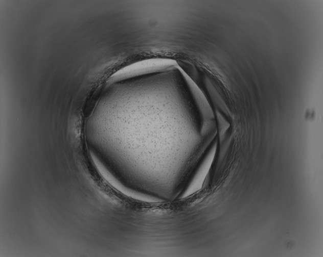 X0000091950593200710041009