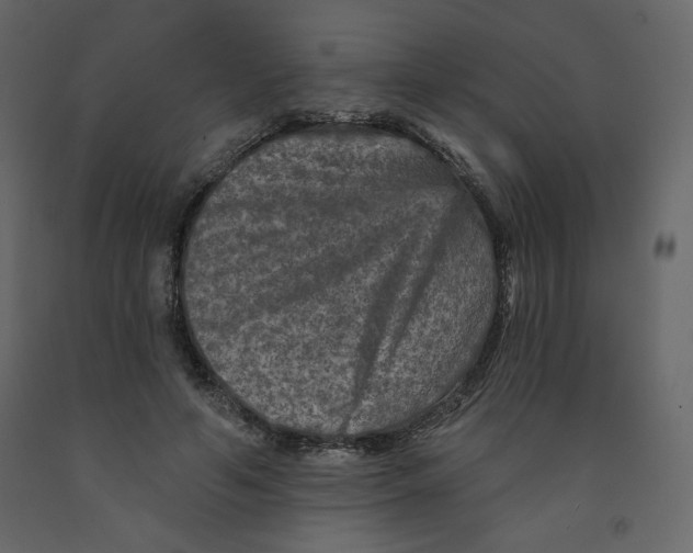 X0000091950594200710041009