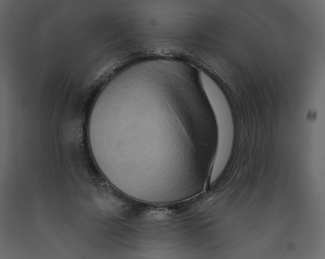 X0000091950595200710041009