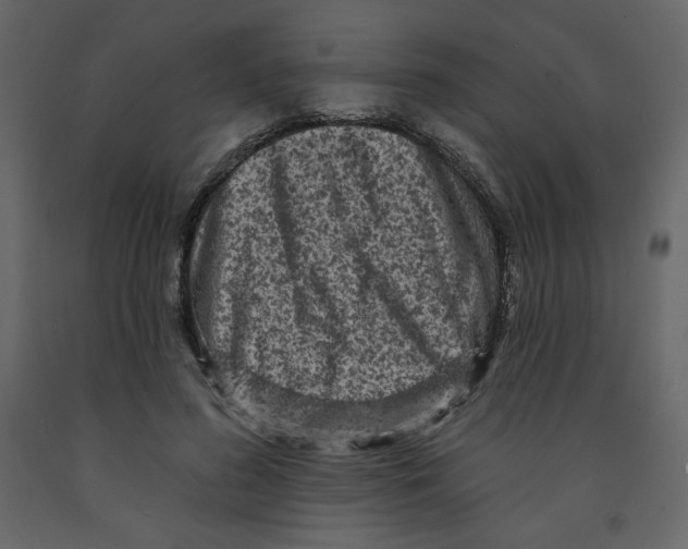 X0000091950596200710041009