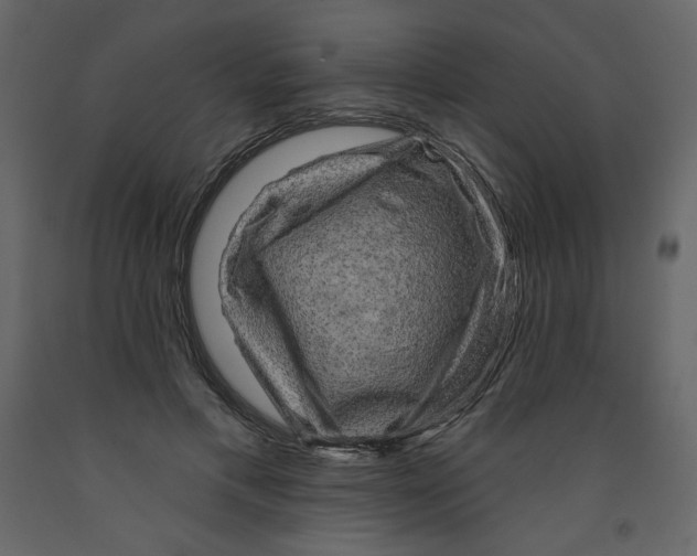 X0000091950597200710041009