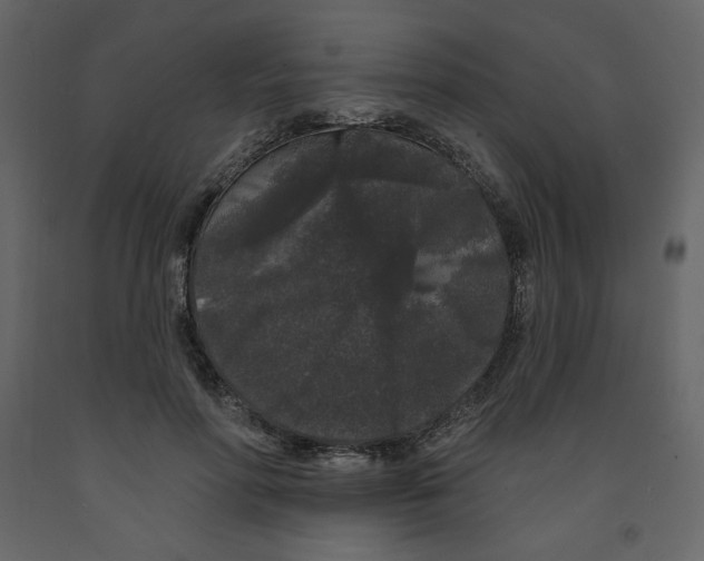 X0000091950598200710041009