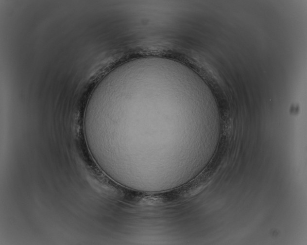 X0000091950599200710041009