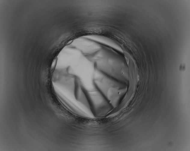 X0000091950600200710041009
