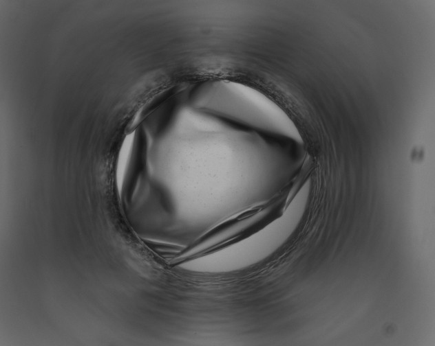X0000091950601200710041009