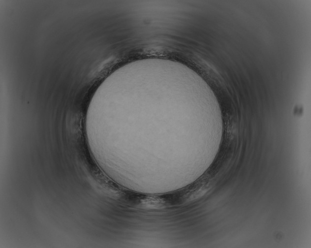 X0000091950603200710041009