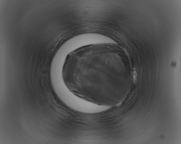 X0000091950604200710041009