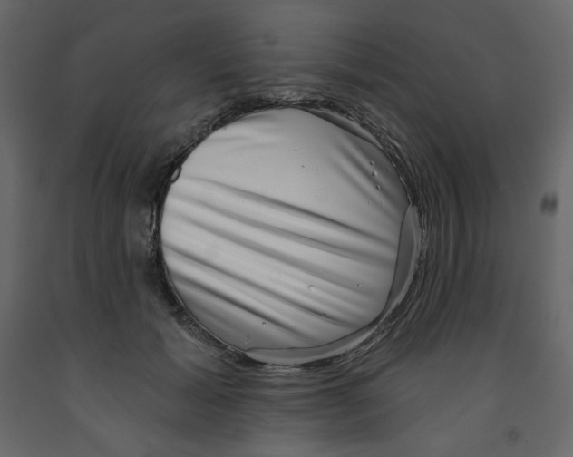 X0000091950605200710041009