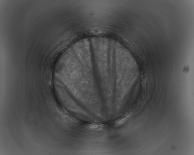 X0000091950606200710041009