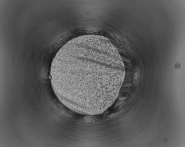 X0000091950608200710041009