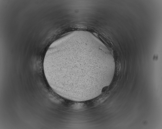 X0000091950609200710041009