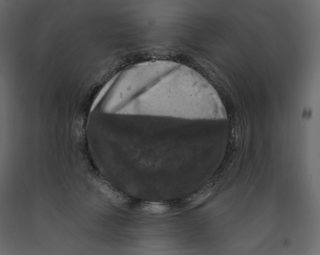 X0000091950610200710041009