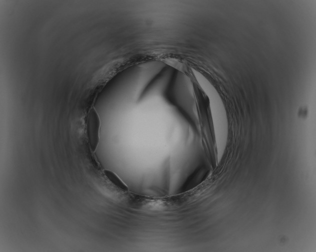 X0000091950611200710041009