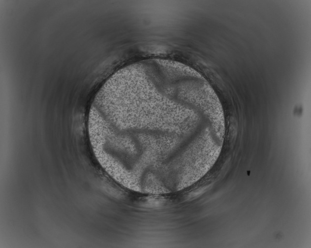 X0000091950612200710041009