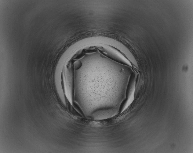 X0000091950613200710041009