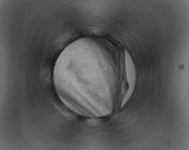 X0000091950615200710041009
